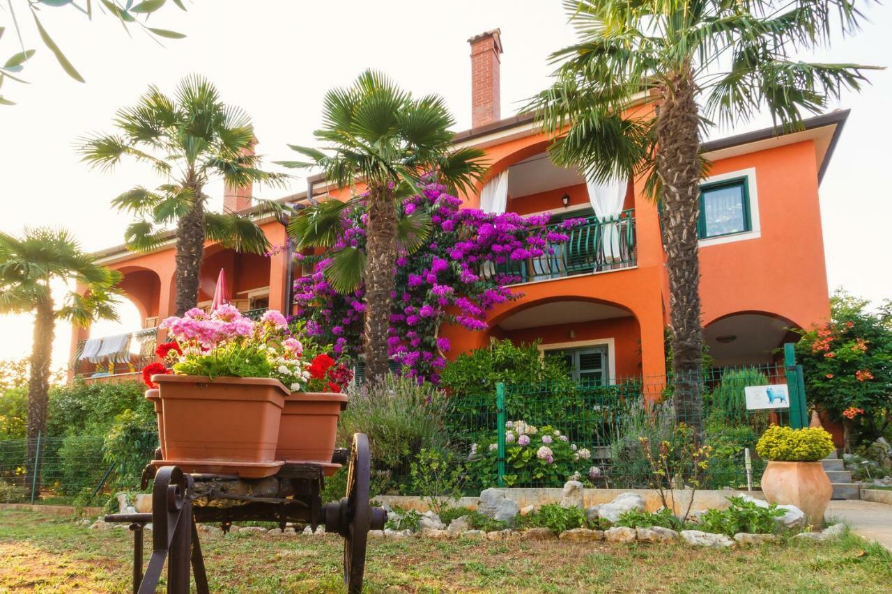 Apartments Mirjana Novigrad Istria Εξωτερικό φωτογραφία
